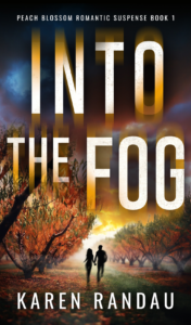 Into the Fog Cover